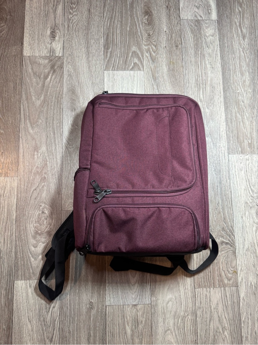 eBags Burgundy Laptop Backpack